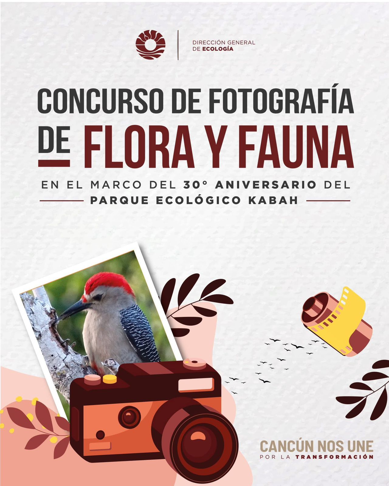 uploads/6/32/01 (2465).Jpeg